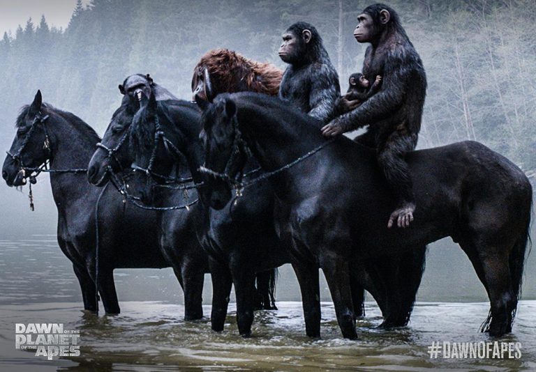 猩球崛起2：黎明之战Rise of the Planet of the Apes: Dawn of the Planet（English）