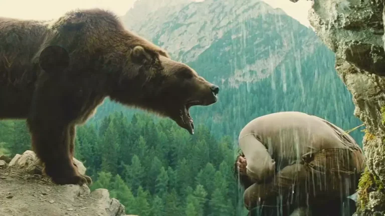 熊的故事The Story of the Bear（English）