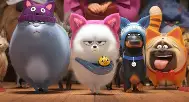 爱宠大机密2 The Secret Life of Pets 2 .2019.(Chinese)